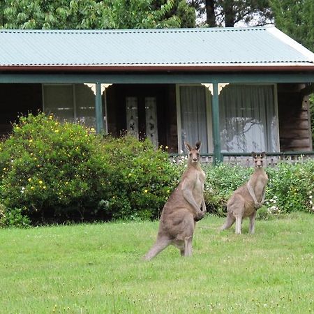 Cedar Lodge Cabins جبل فيكتوريا المظهر الخارجي الصورة