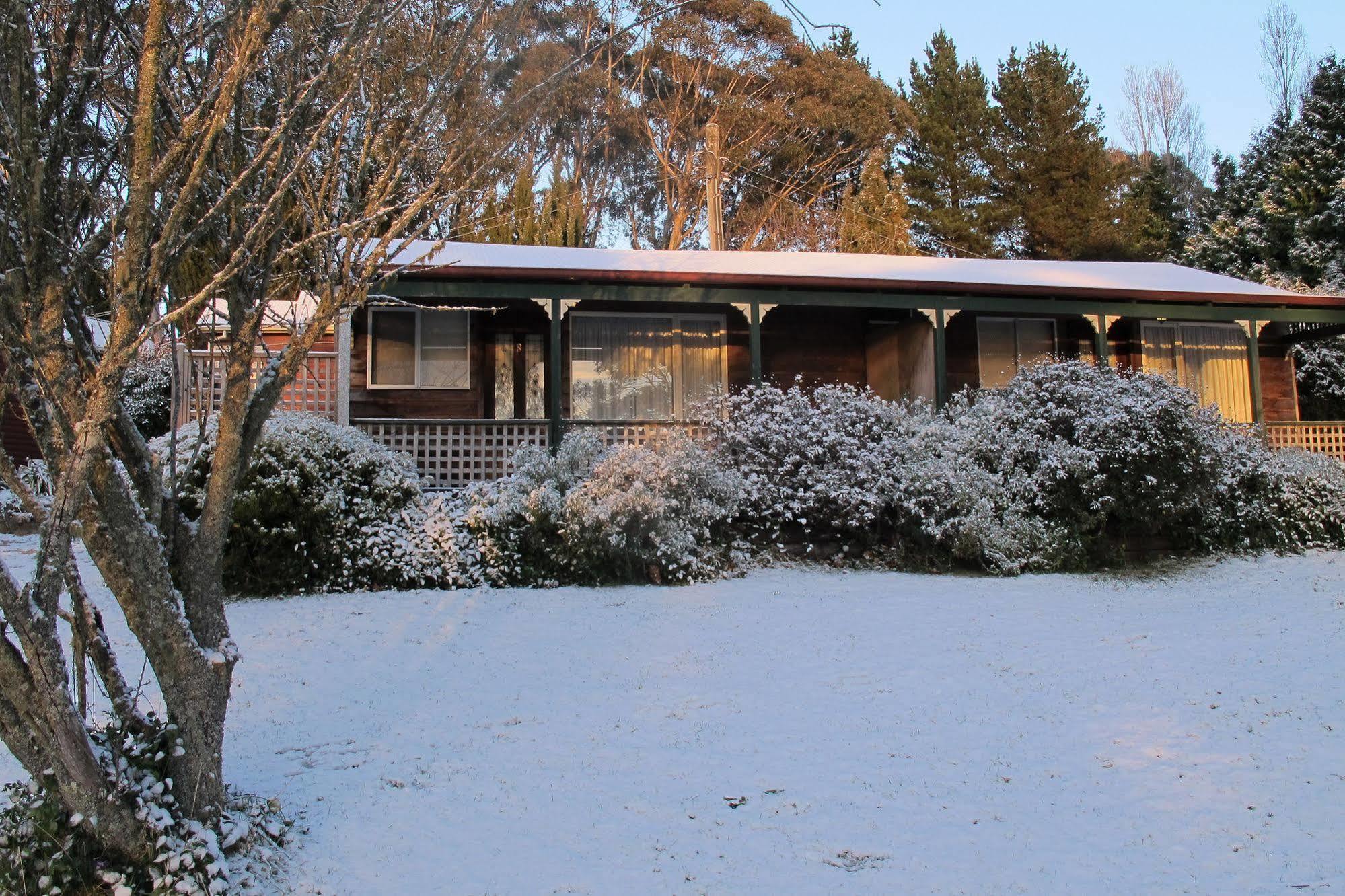 Cedar Lodge Cabins جبل فيكتوريا المظهر الخارجي الصورة